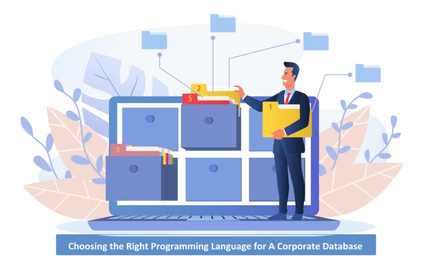 programming languages for corporate database