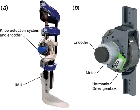 sensor embedded exoskeleton